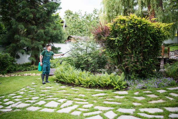 Trusted Jackson, SC Pest Control Experts