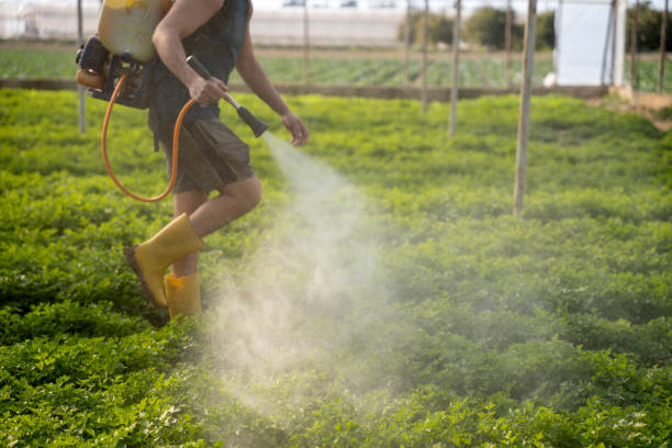 Best Mosquito Control Services  in Jackson, SC